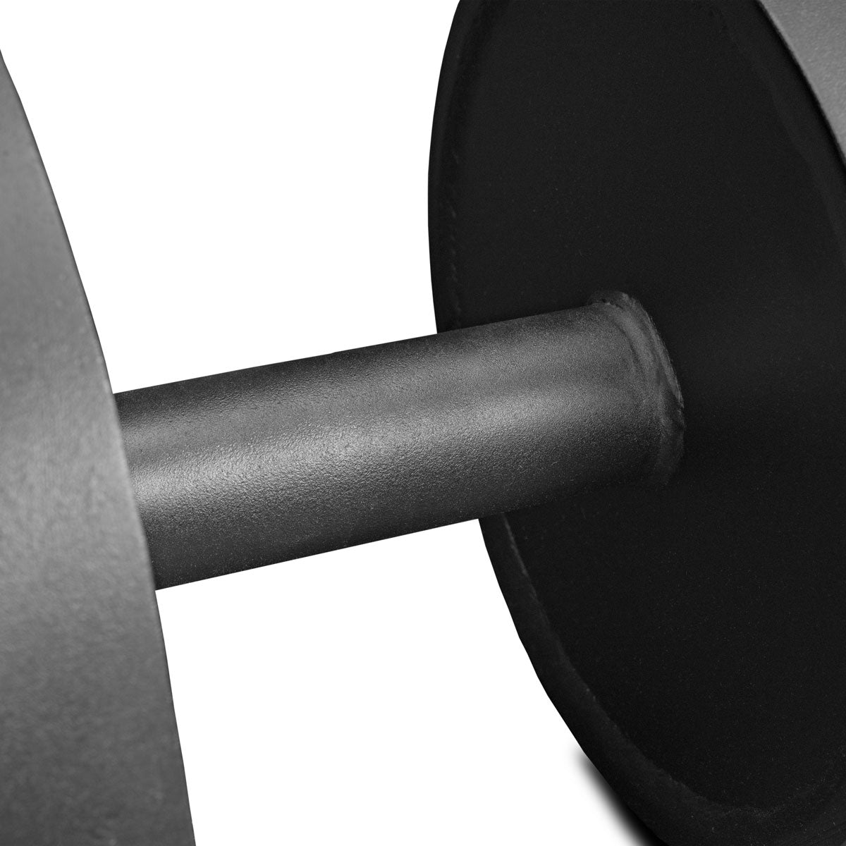 Riot Monster Loadable Dumbbell - PREORDER (Estimated Dispatch Early September 2026)