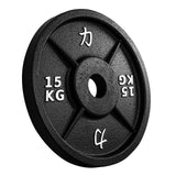 Riot Cast Iron Plates