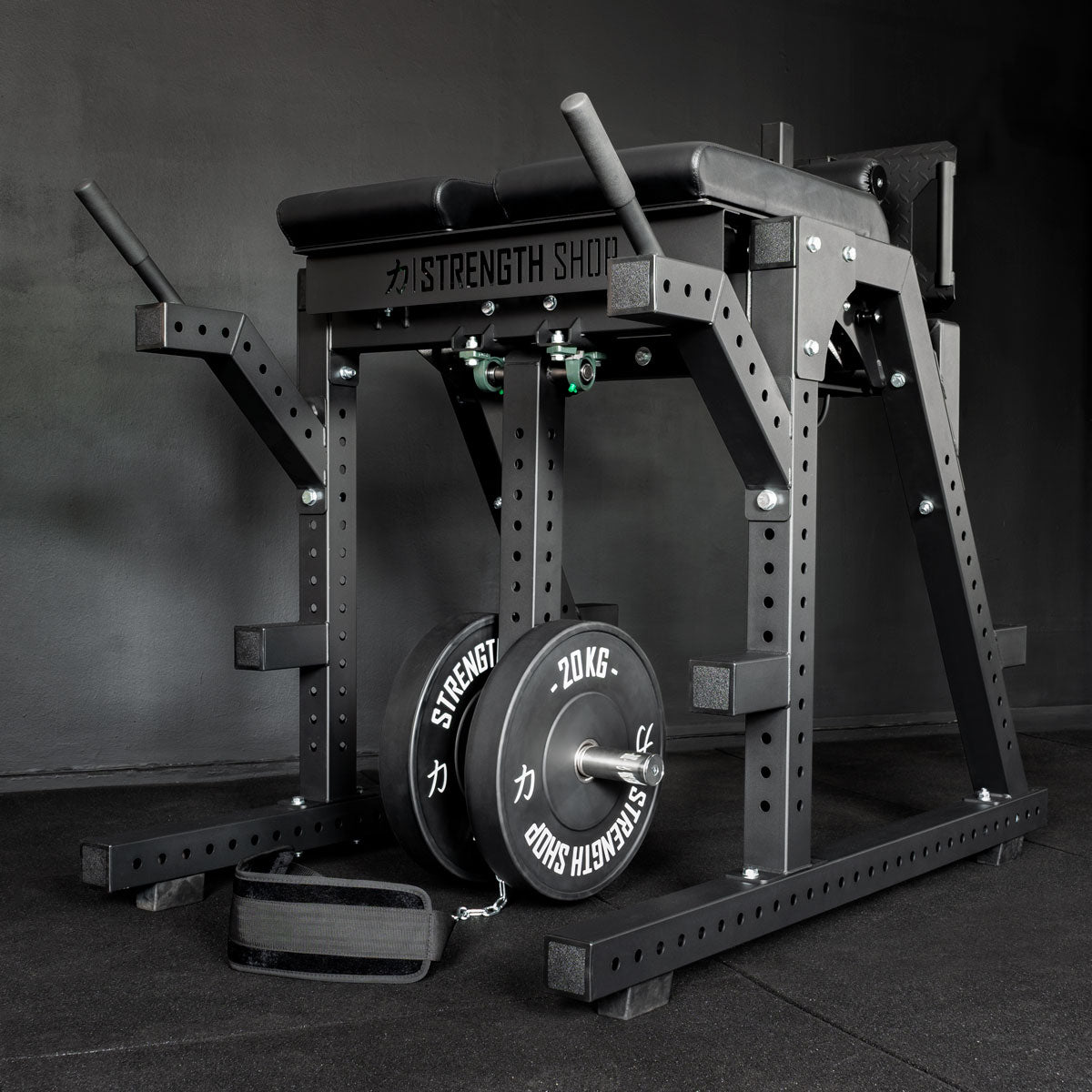 Reverse Hyper / GHD Combo Machine