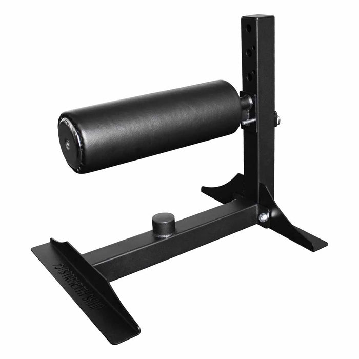 Single Leg Squat Stand