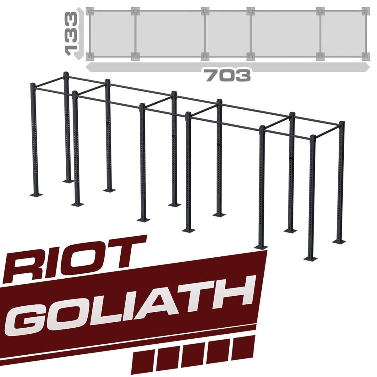 Goliath Rig Goliath Riot Rig / Training Station – Strength Shop