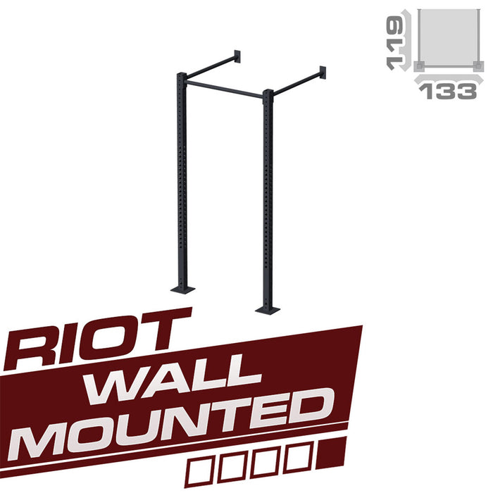 Wall Mounted Riot Rig / Training Station